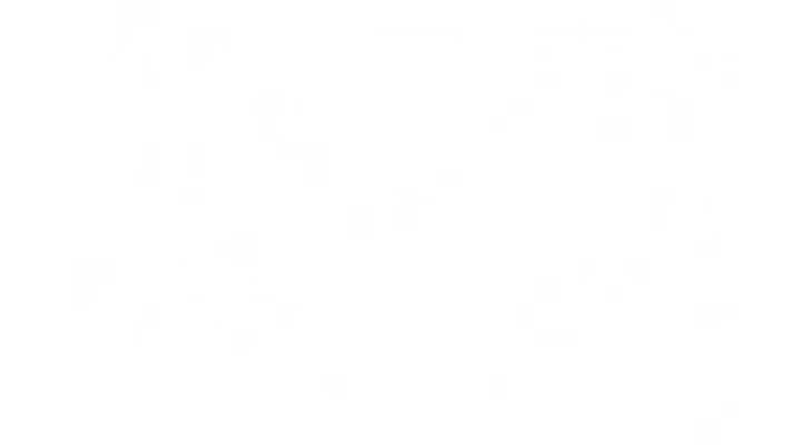 Chất lượng 100%